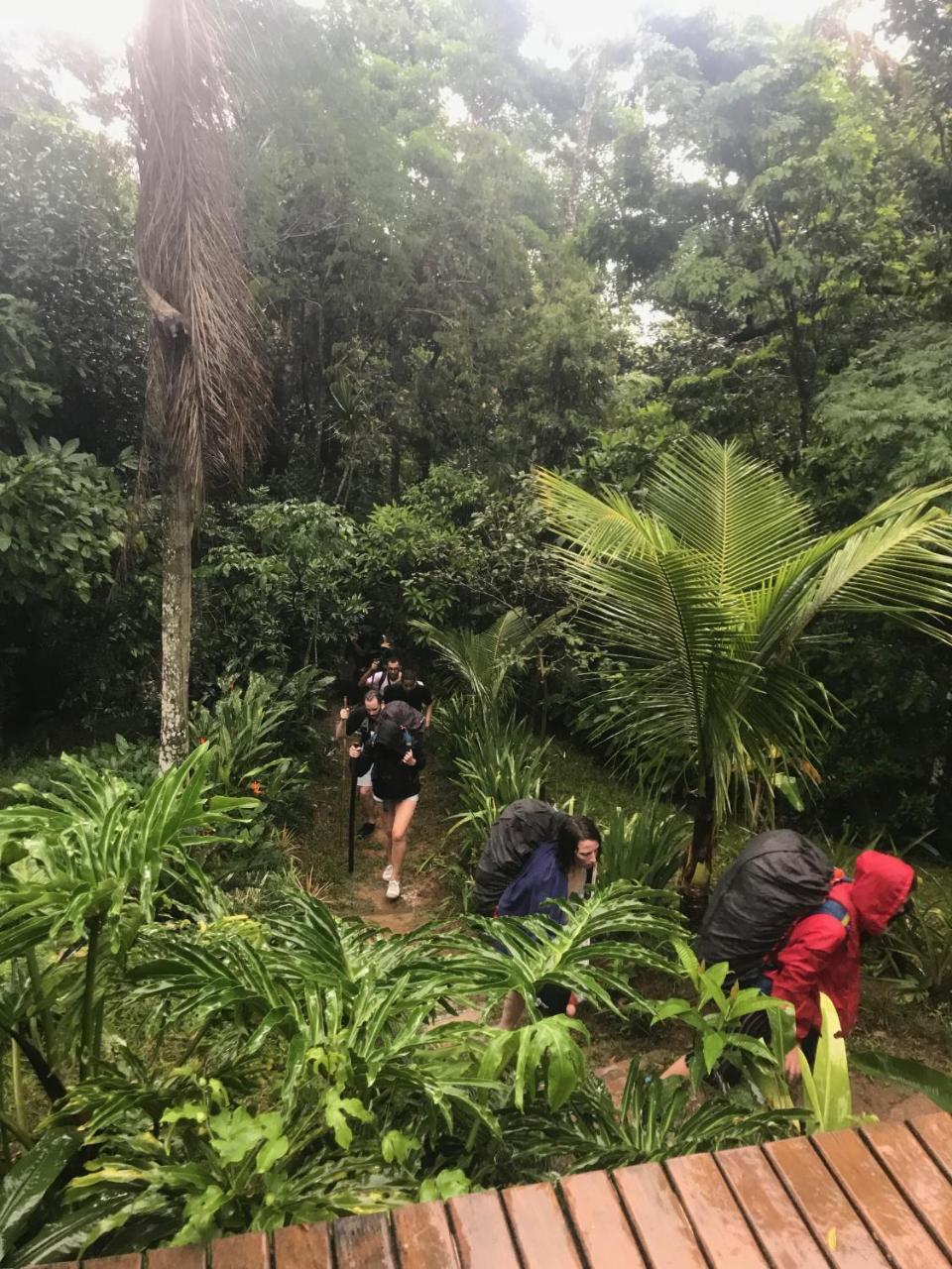 Pousada Rainforest House - Ilha Grande Bagian luar foto