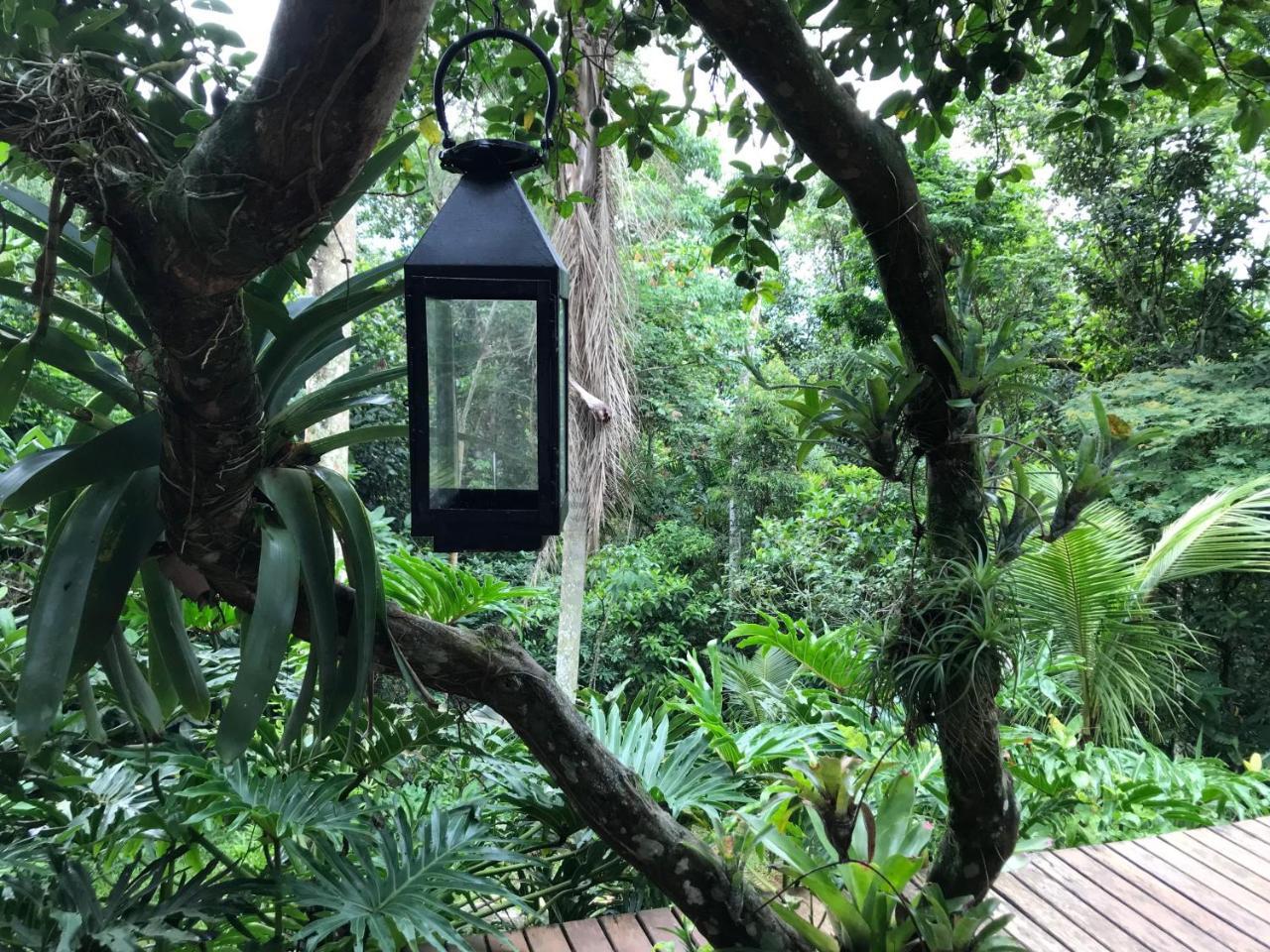 Pousada Rainforest House - Ilha Grande Bagian luar foto