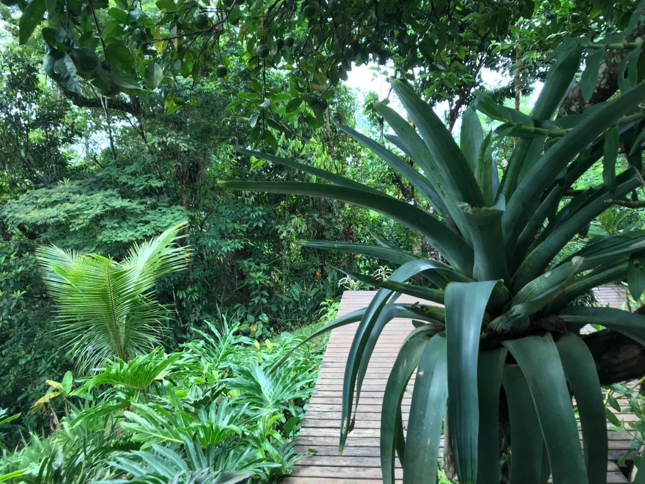 Pousada Rainforest House - Ilha Grande Bagian luar foto