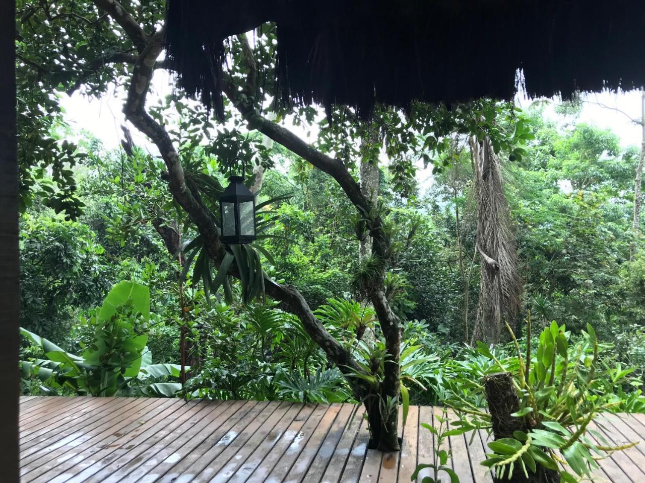 Pousada Rainforest House - Ilha Grande Bagian luar foto