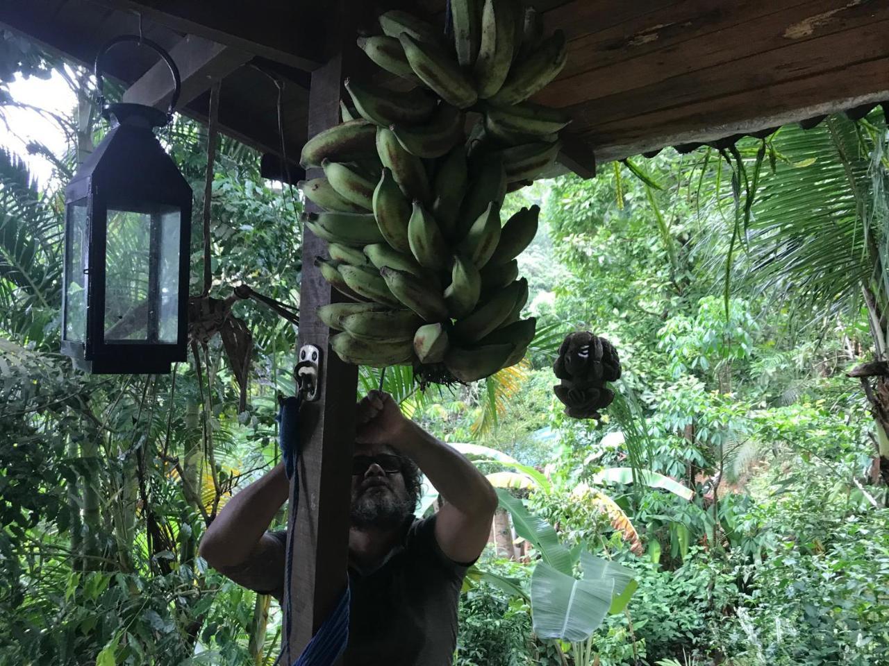 Pousada Rainforest House - Ilha Grande Bagian luar foto